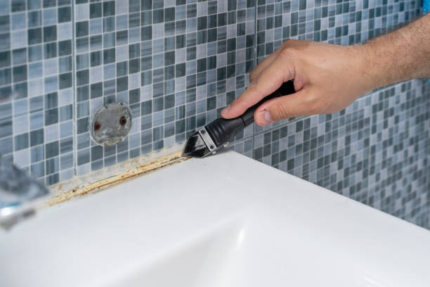 Certified Mold Removal in Mayville, MI